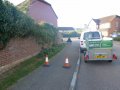 Removal of overgrown clematis - Start